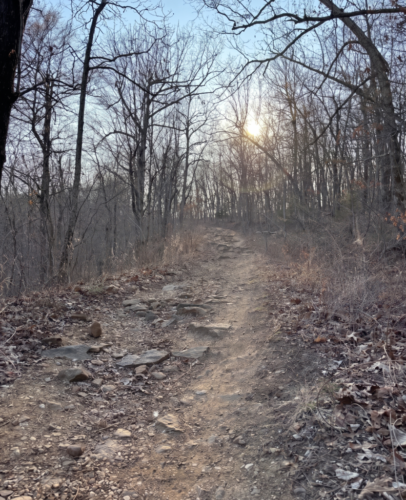 photo of a hiking trail ascending up a hill in early spring